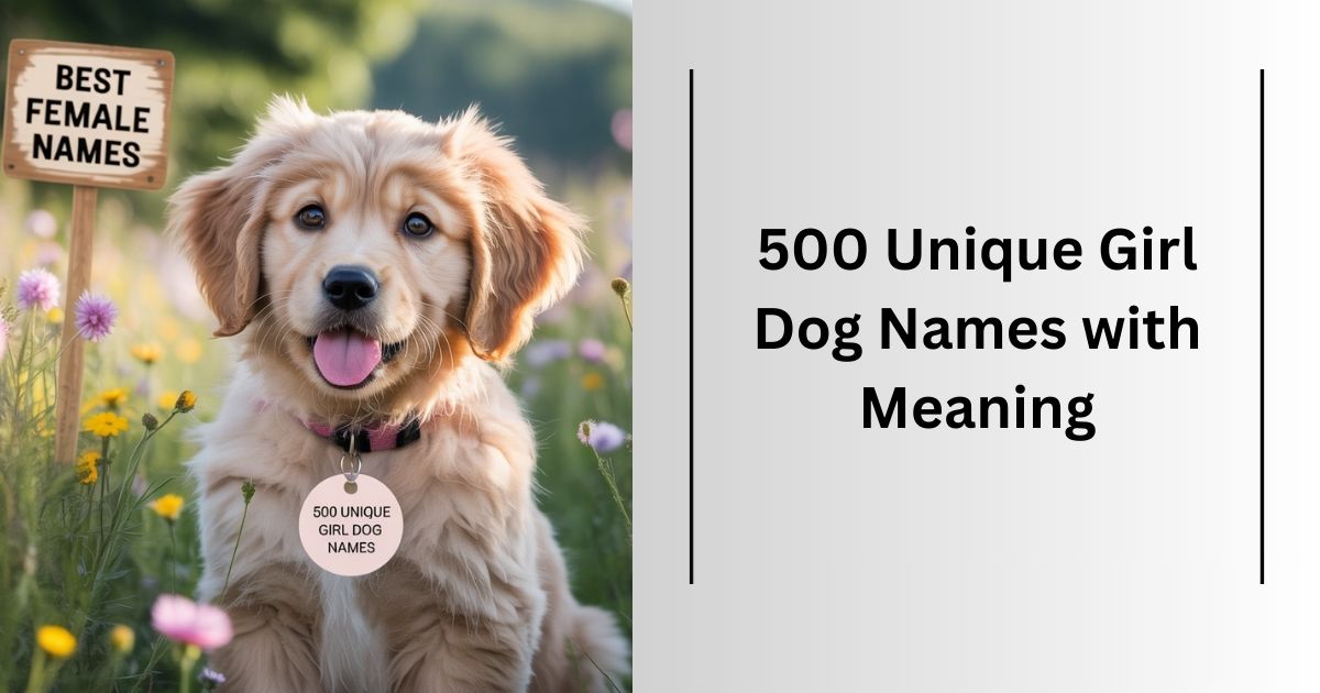 500 Unique Girl Dog Names with Meaning Best Female Puppy Names