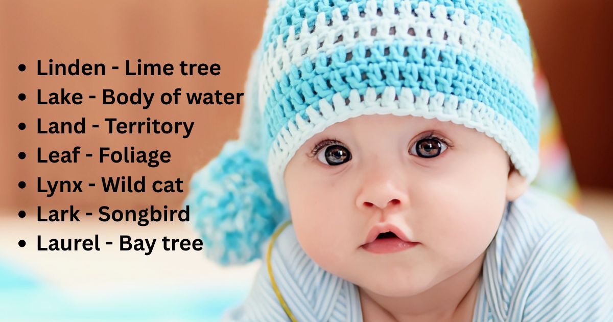 Nature-Inspired L Names for Boys